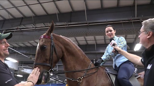 MC17 - Abbie Brown - Championship