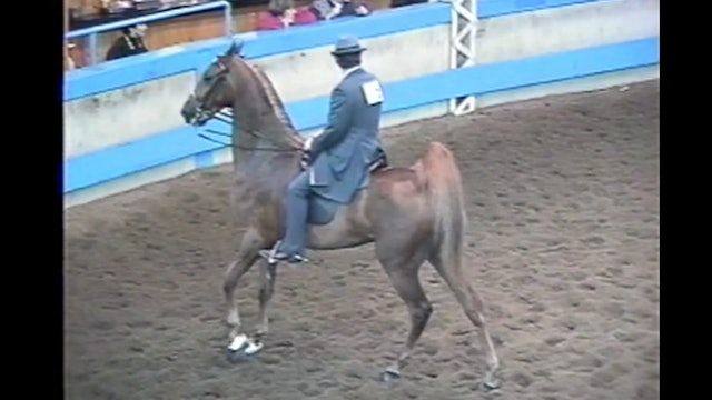 Des Moines Horse Show