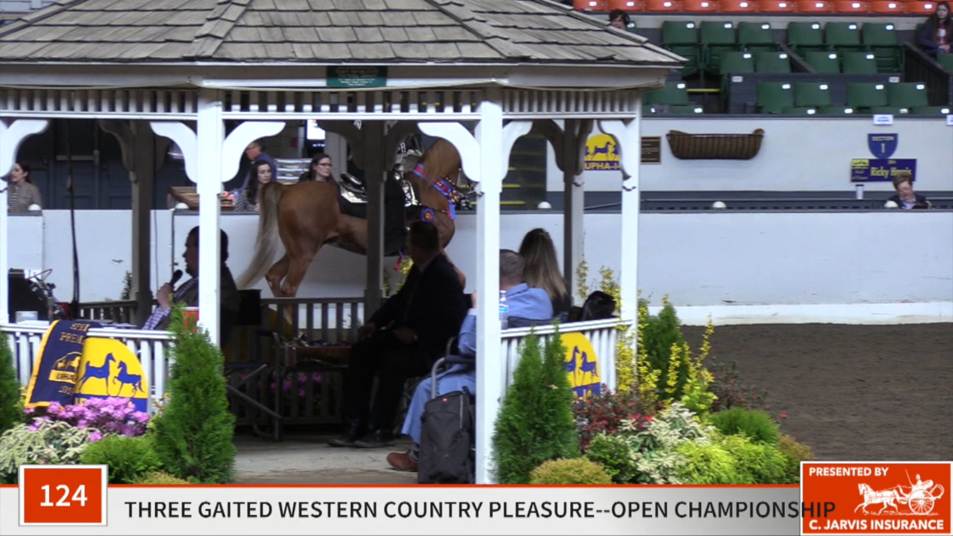 UPHA14-19 - Class 124 - CH Charming In Blue Championship