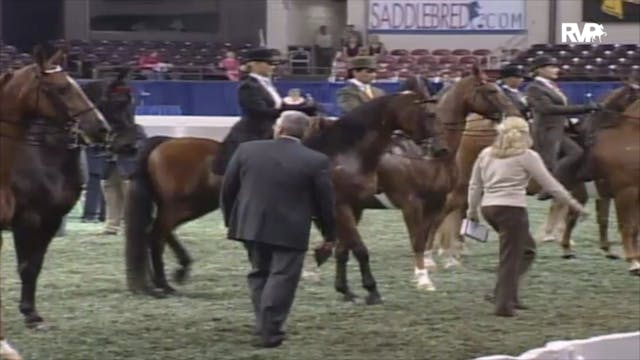 2006 WCHS Class 156 Adult Equitation