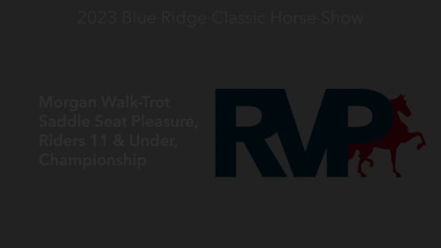 BR23 - Class 190 - Morgan Walk-Trot S...