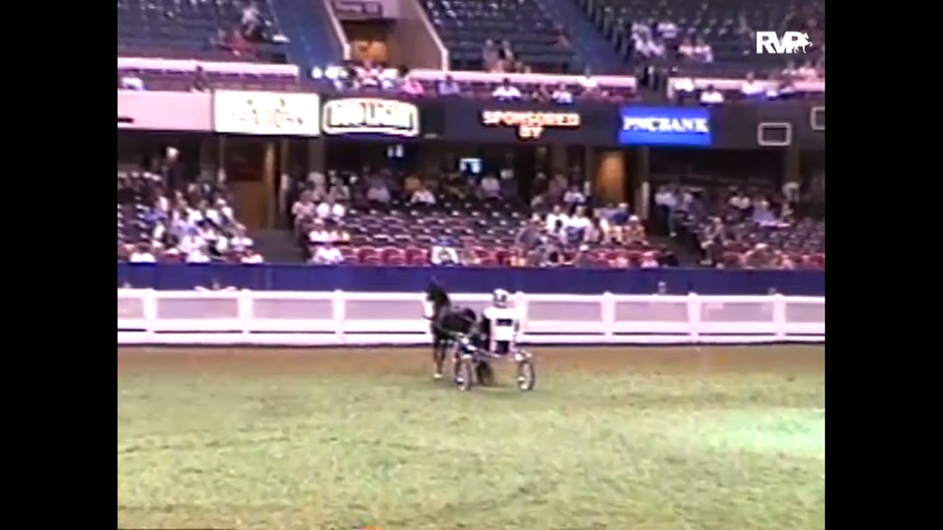 1999 WCHS - Class 126 Roadster Pony Mare Stake - Bloody Mary and J.D. Williams, whip