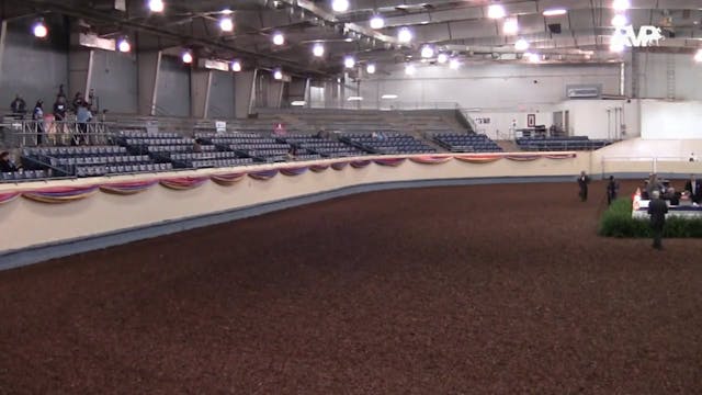 MGN15 - Performance Arena 10-12-15 1-...