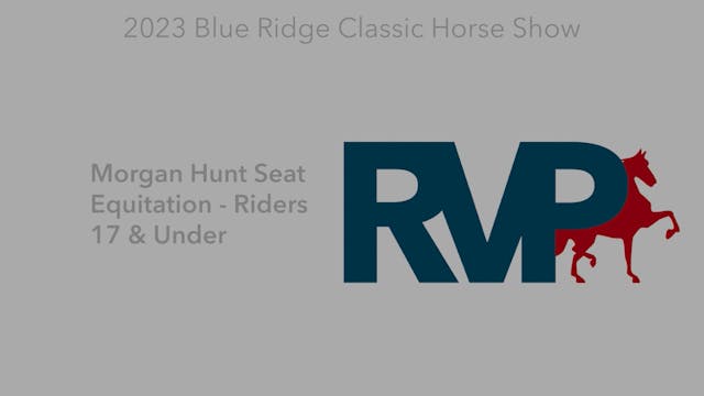 BR23 - Class 95 - Morgan Hunt Seat Eq...