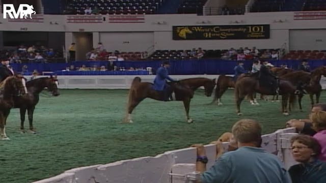 2004 World's Championship Horse Show ...