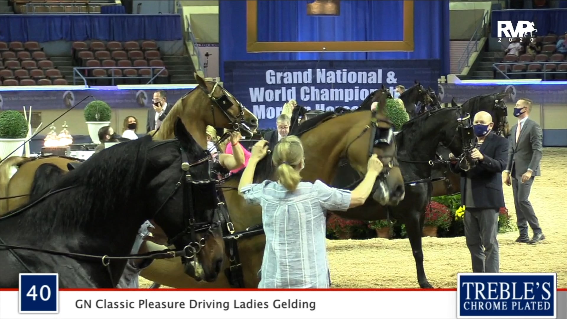 2020 MGN - Class 40 GN Classic Pleasure Driving Ladies Gelding