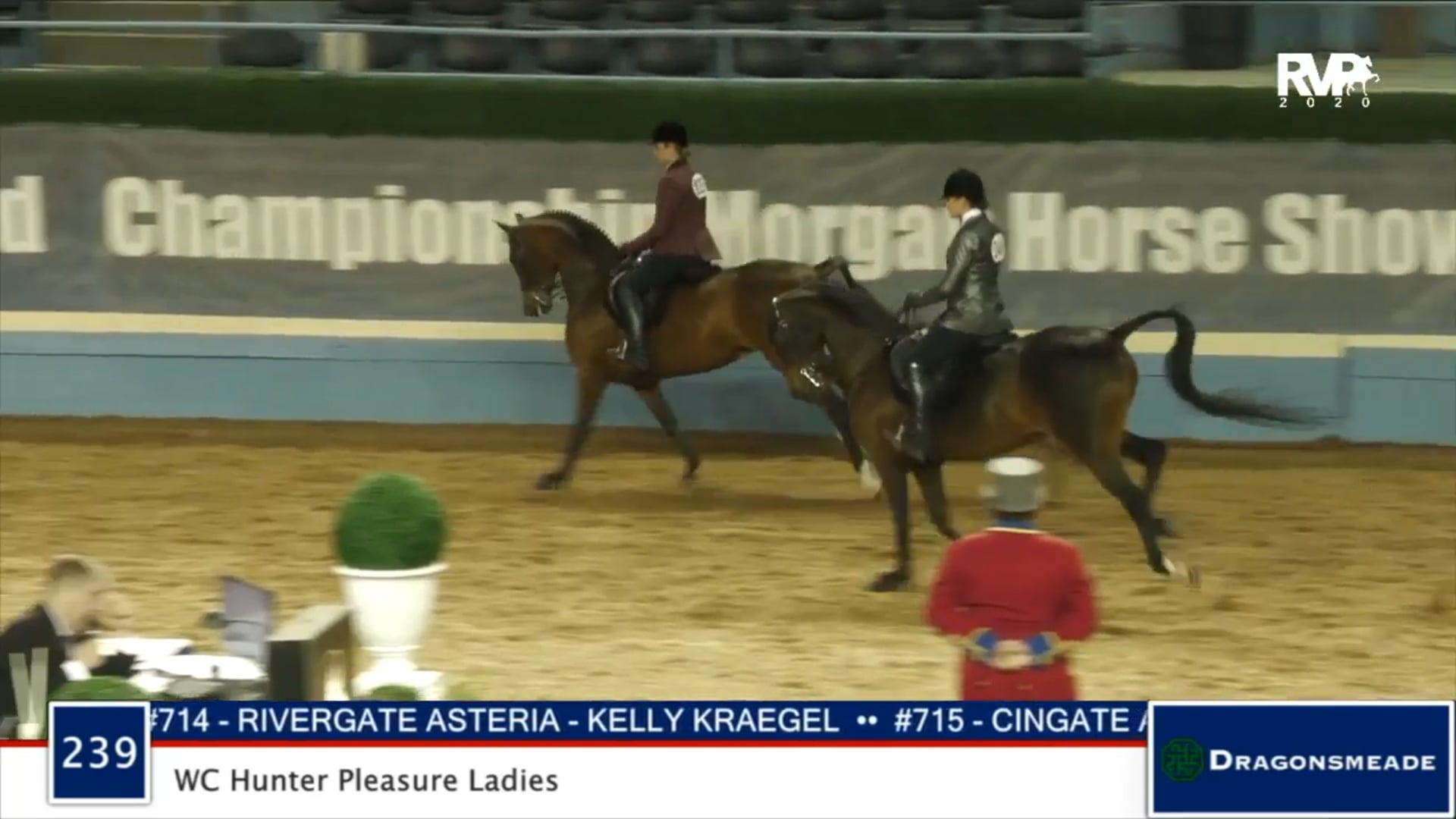 2020 MGN - Class 239 WC Hunter Pleasure Ladies