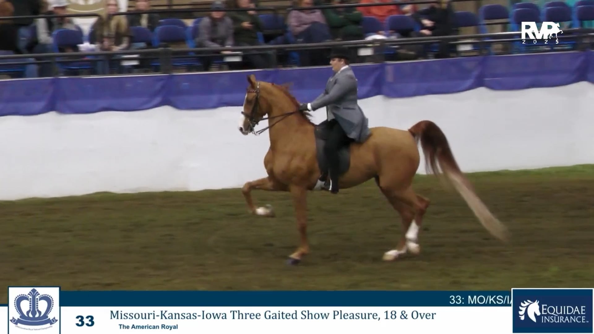 KC25 - Class 33 - Missouri-Kansas-Iowa Three Gaited Show Pleasure 18 & Over