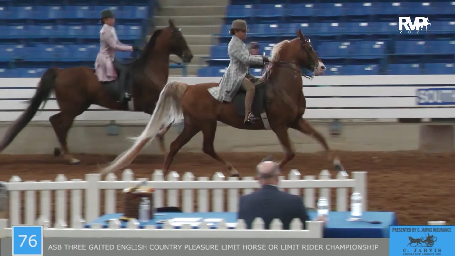 SSSF21 - Class 76 - ASB Three Gaited English Country Pleasure Limit Horse