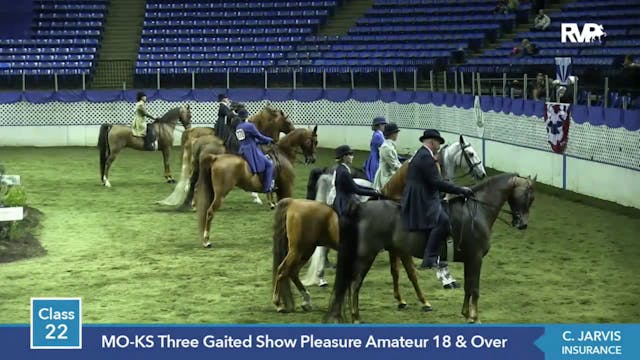 2014 KC - Class 22.1 MO-KS Three Gait...