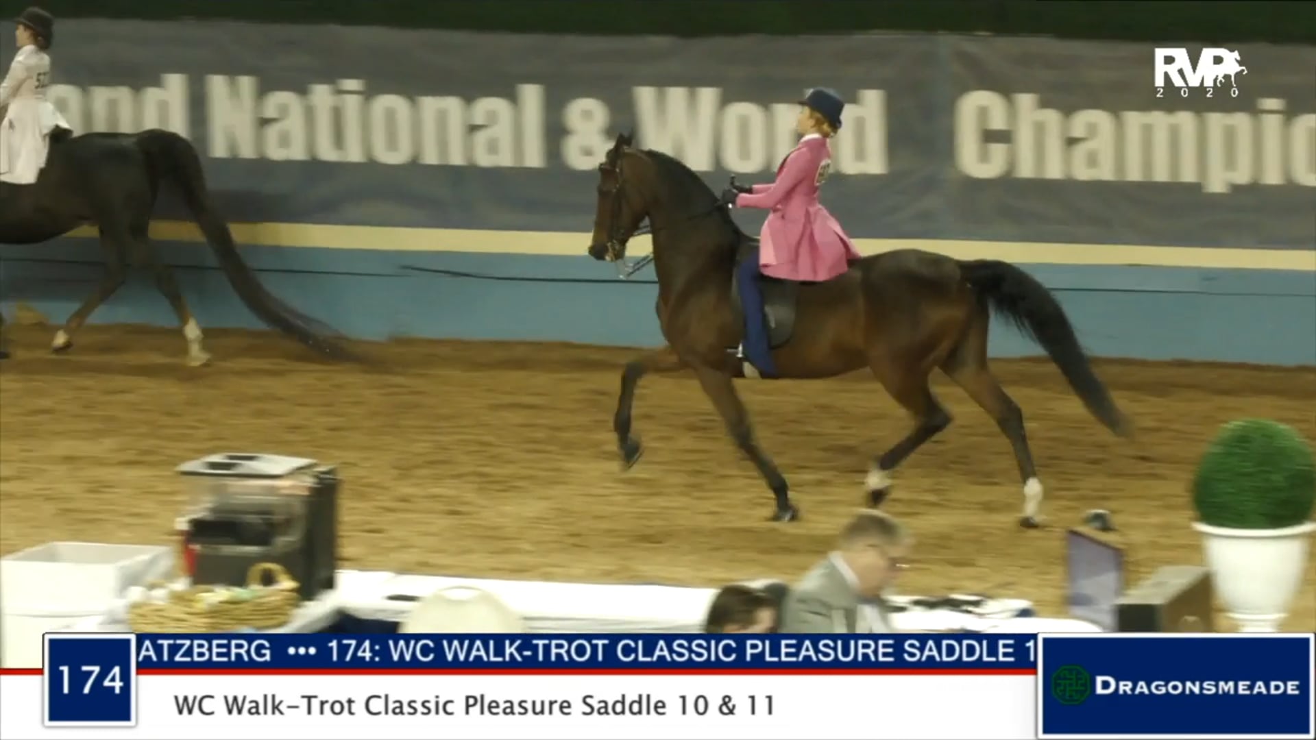 2020 MGN - Class 174 WC Walk-Trot Classic Pleasure Saddle 10 & 11