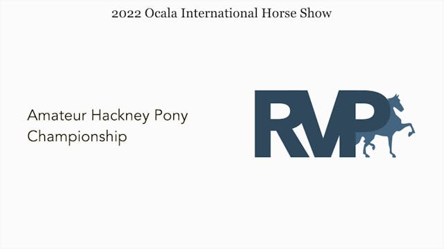 OIHS22 - Class 121 - Amateur Hackney ...