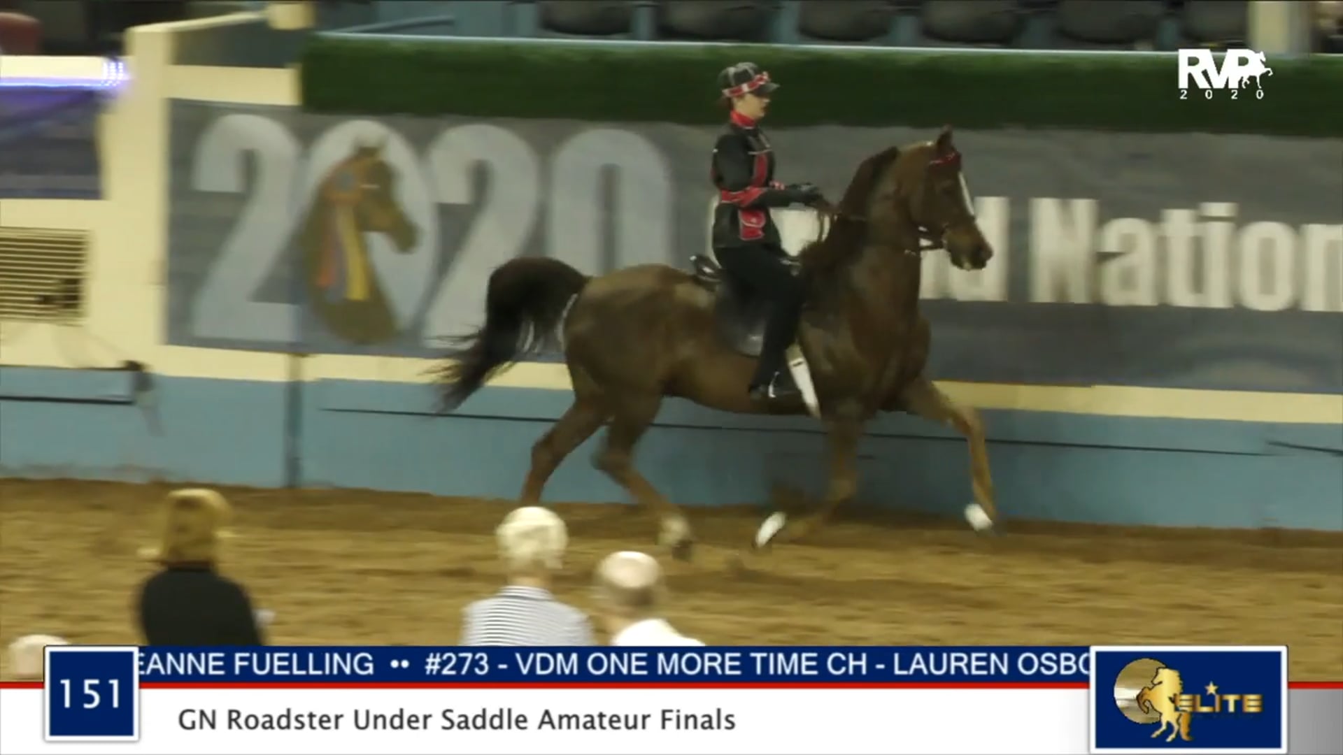 2020 MGN - Class 151 GN Roadster Under Saddle Amateur Finals