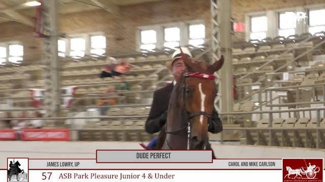 MW25 - Class 57 - ASB Park Pleasure J...