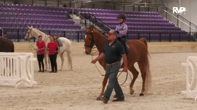 CC26 - Class 143b - Leadline 8 & Under