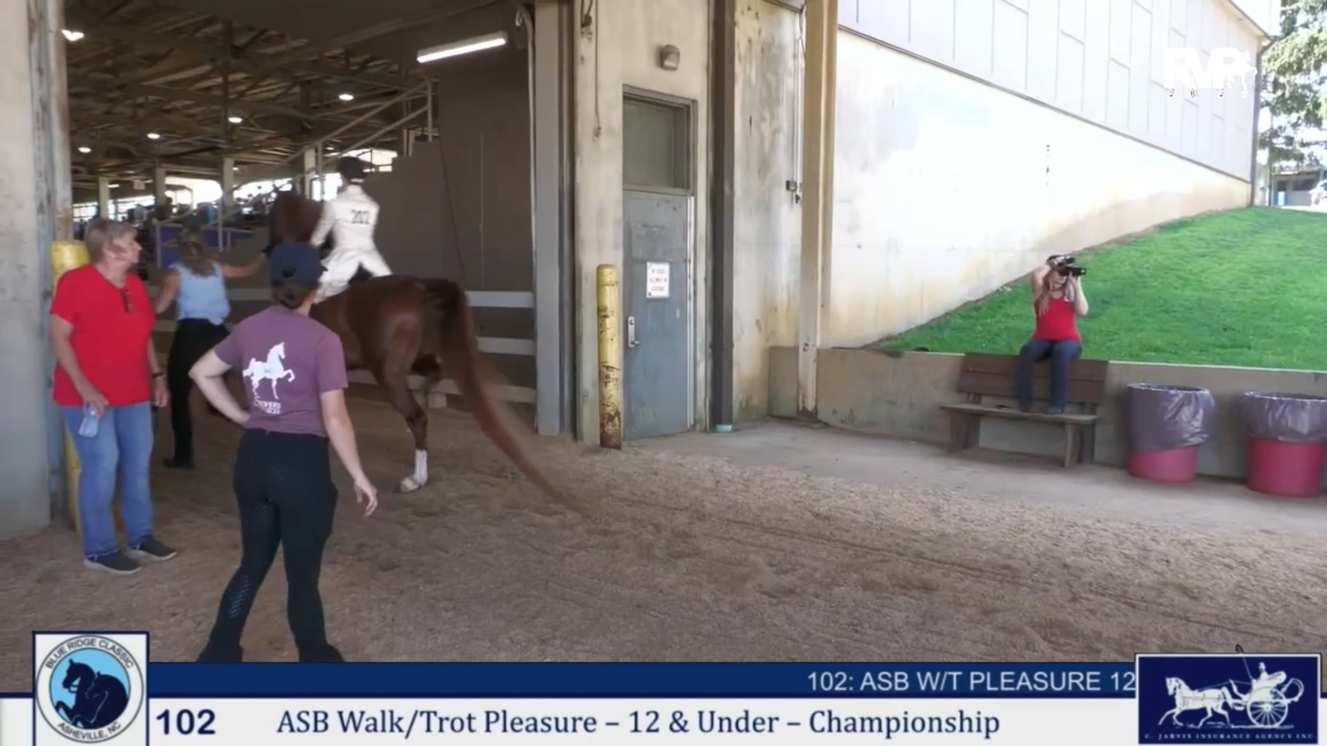 BRC25 - Class 102 -  ASB Walk & Trot Pleasure 12 & Under  Championship