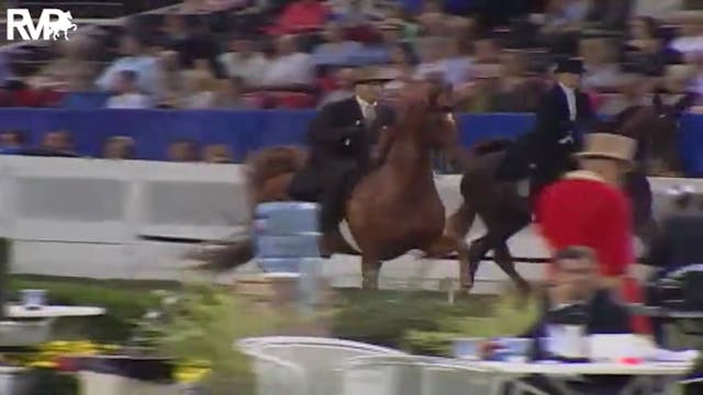 2004 World's Championship Horse Show ...