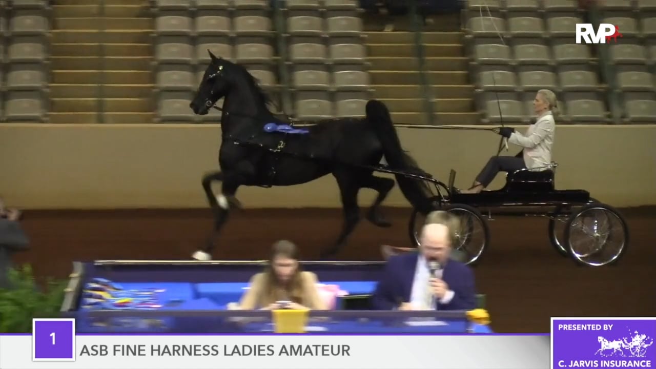 SSFF18 - Class 1 - Kalarama's New York Lady