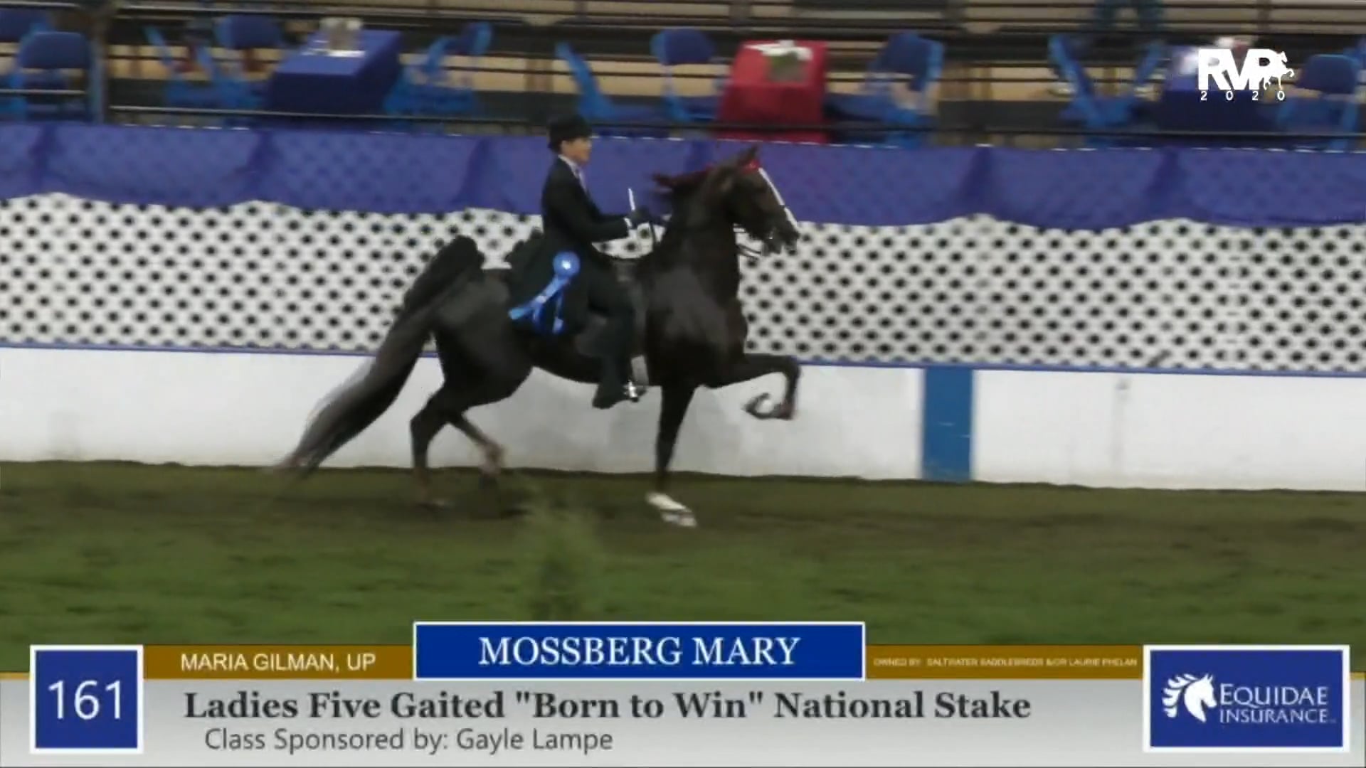 2020 American Royal - Saturday Afternoon- November 14