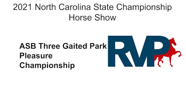 NCSC21 - Class 79 - ASB Three Gaited ...