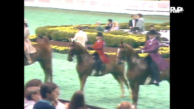 1989 WCHS Class 18 Three Gaited Junio...