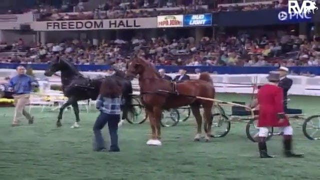 2003 WCHS Class 14 Junior Fine Harnes...
