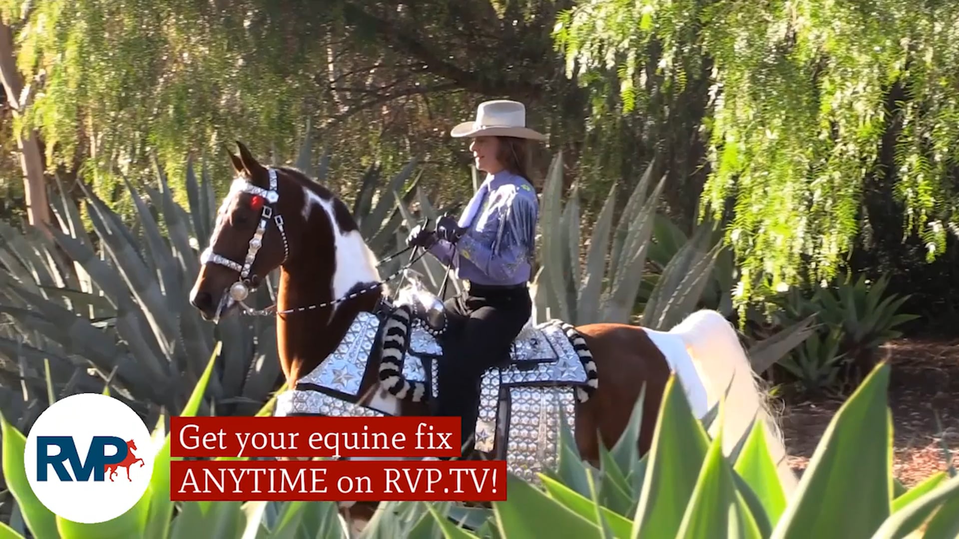 SS21 - Class 124.1 - Fitting & Showmanship, 13 & Under