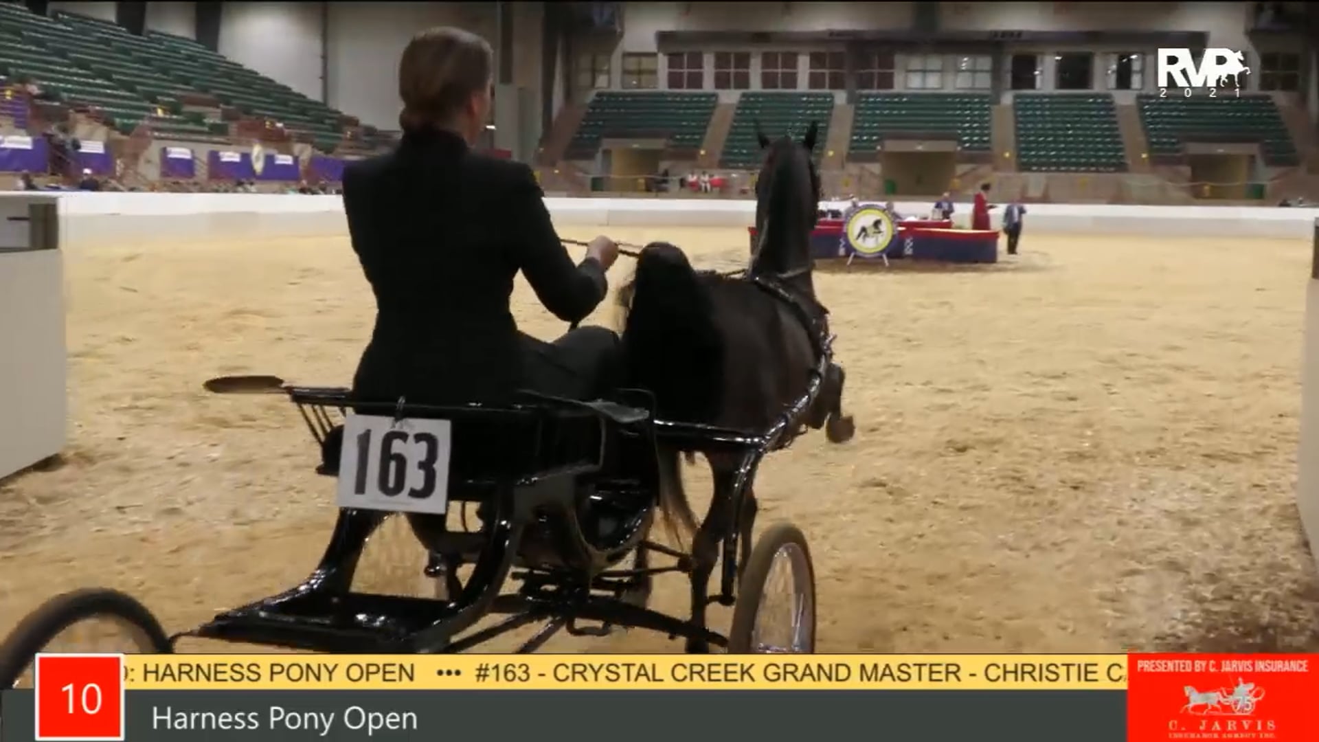 PA21 - Class 10 Harness Pony Open