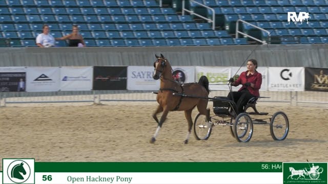 LJL24 - Class 56 - Open Hackney Pony