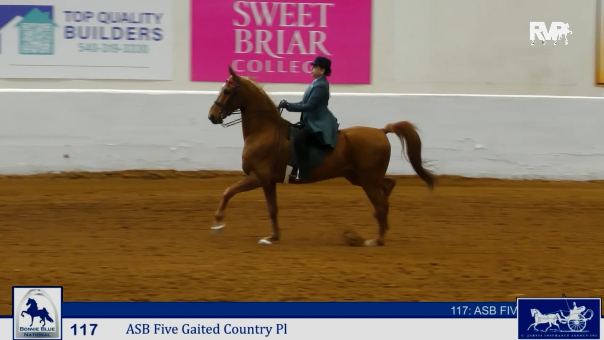 BB25 - Class 117 - ASB Five Gaited Country Pleasure