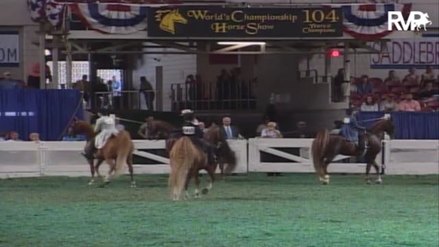 2007 WCHS Class 34 Three Gaited Pony ...