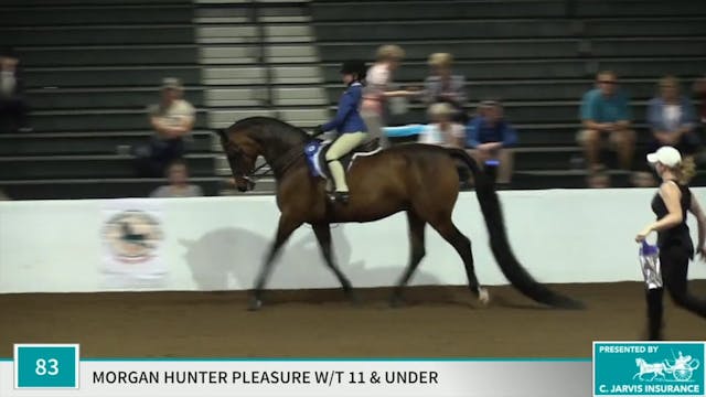 Class 83 - RWF Paganini GCH