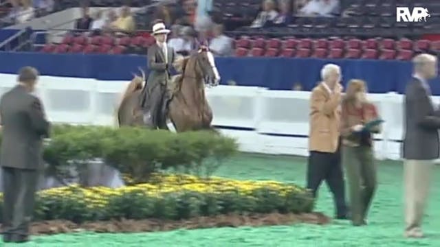 2010 World's Championship Horse Show ...