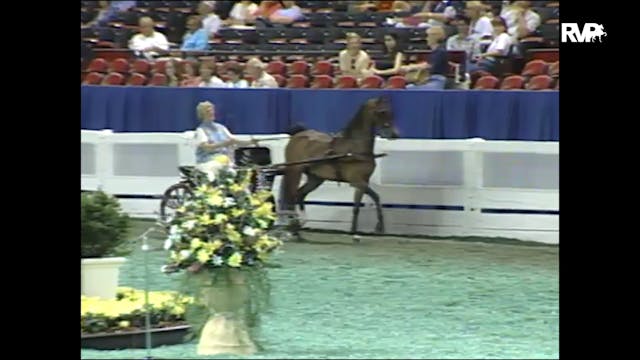 1998 WCHS - Class 37 Amateur Junior H...