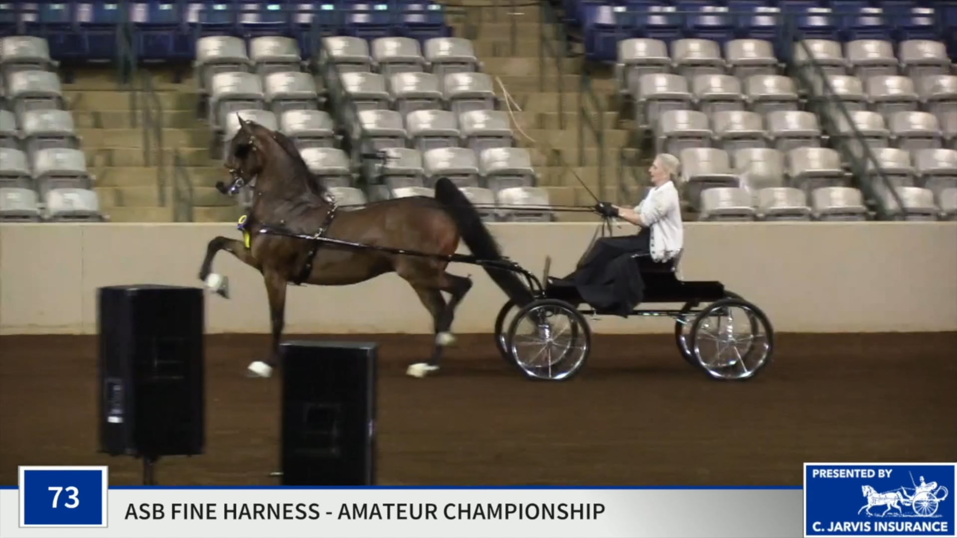 SSSF19 - Class 73 - Fizzy Heir Championship