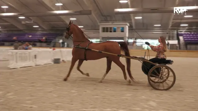 CC26 - Class 145 - ASB Country Pleasu...