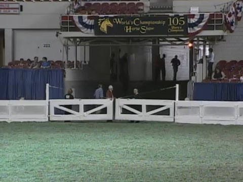 2008 WCHS Class 124 Junior Exhibitor ...
