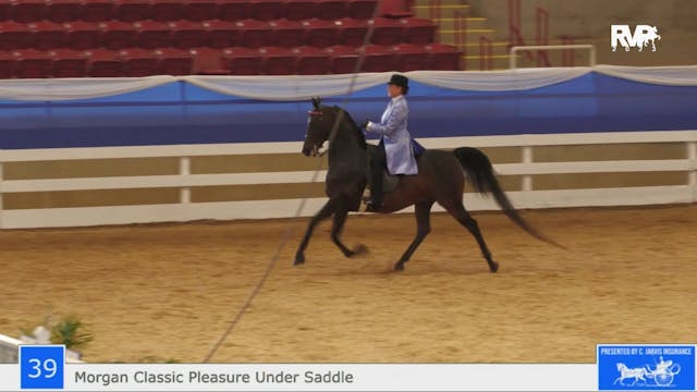 ASF23 - Class 39 -  Morgan Classic Pl...
