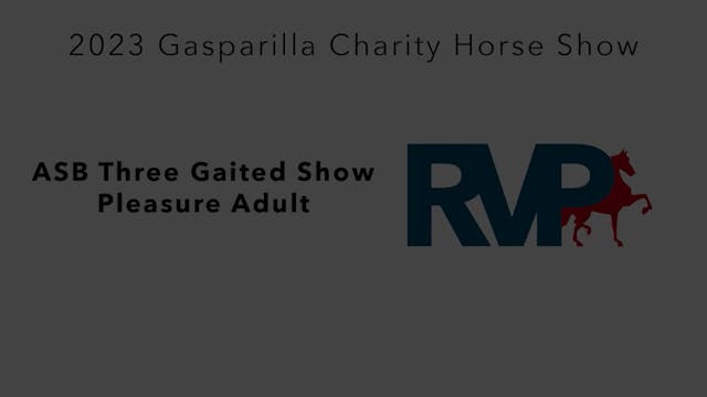 GASP23 - Class 73 - ASB Three Gaited ...