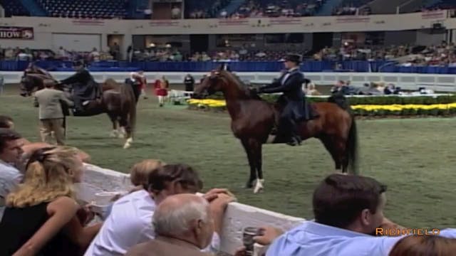 2002 WCHS Class 151 Ladies Three Gait...