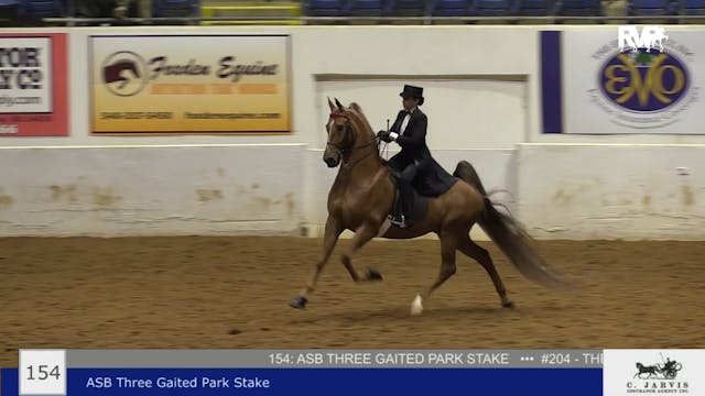 BB22 - Class 154 - ASB Three Gaited P...