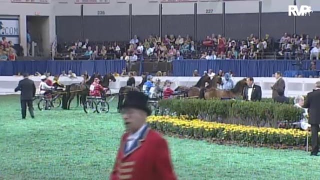 2010 World's Championship Horse Show ...