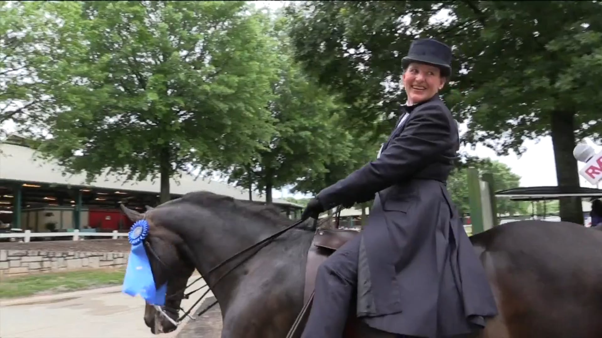 DC17 - Hyland Acres Mystique 