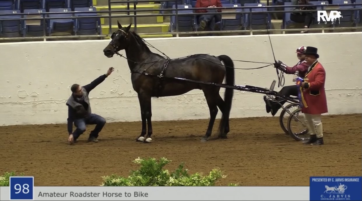 BB21 - Class 98 - Amateur Roadster Horse to Bike