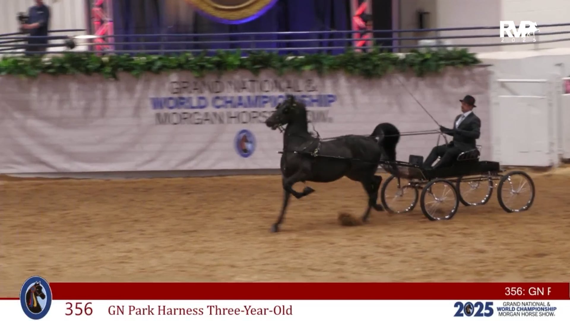 MGN25 - Class 356 - GN Park Harness Three Year Old