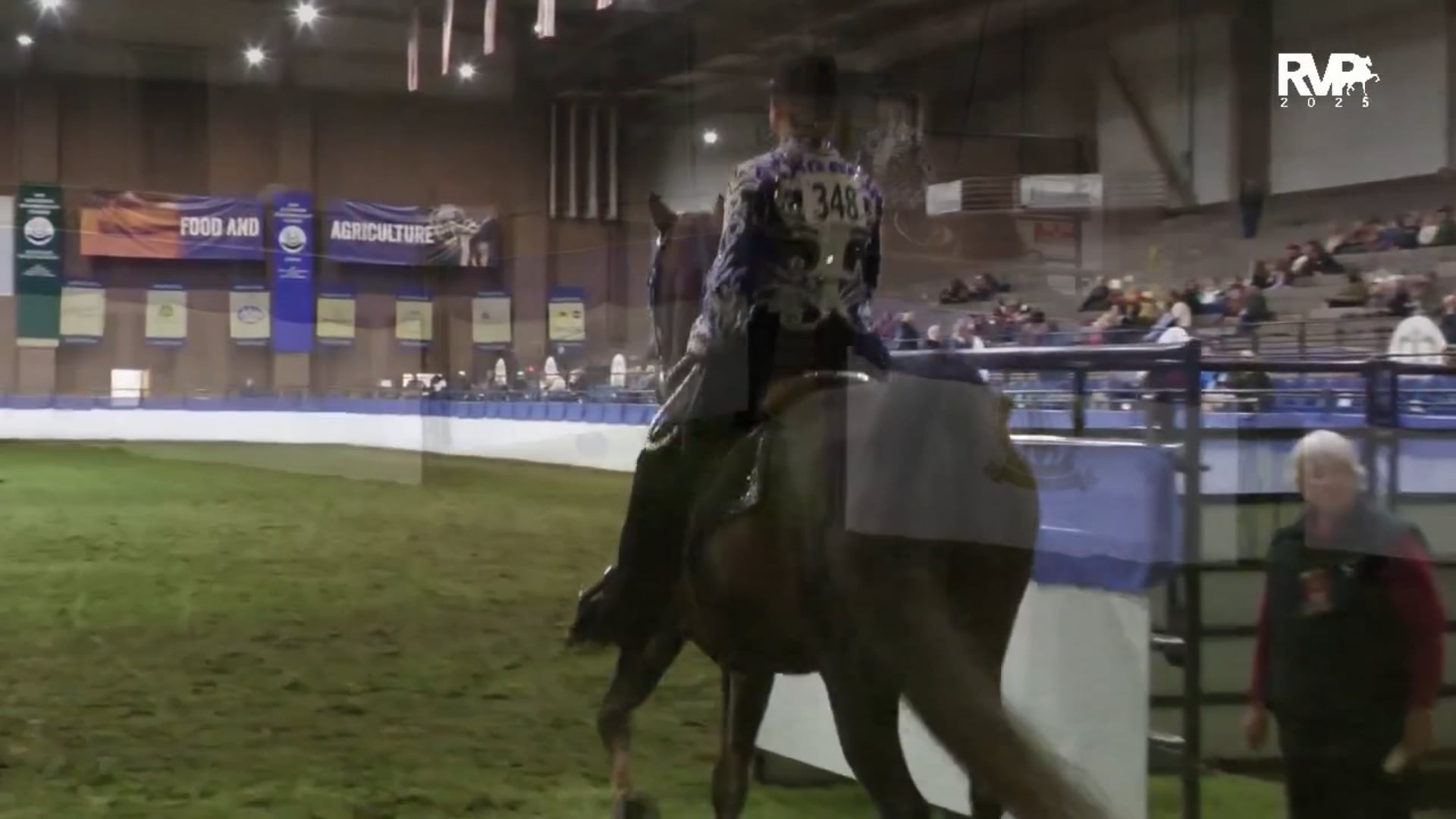 KC25 - Class 59 - ASB Western Country Pleasure