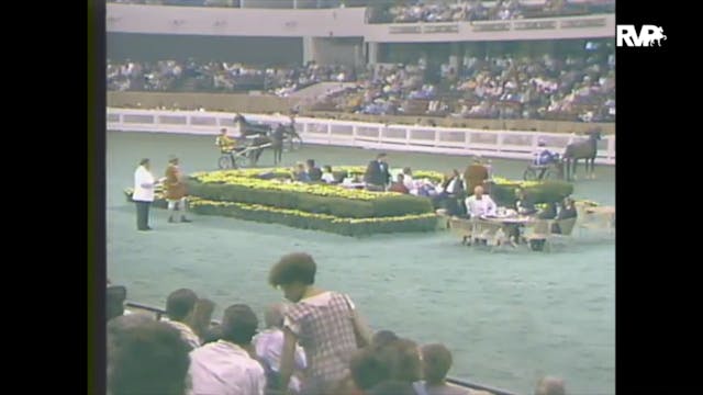 1988 WCHS Class 73 Roadster Pony Mares
