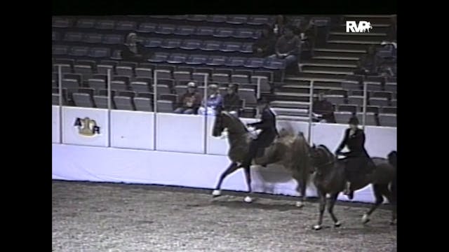 1997 American Royal - 5 Gaited Jr Cha...