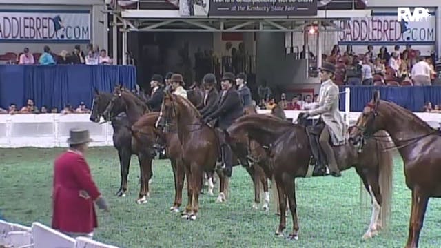 2010 World's Championship Horse Show ...