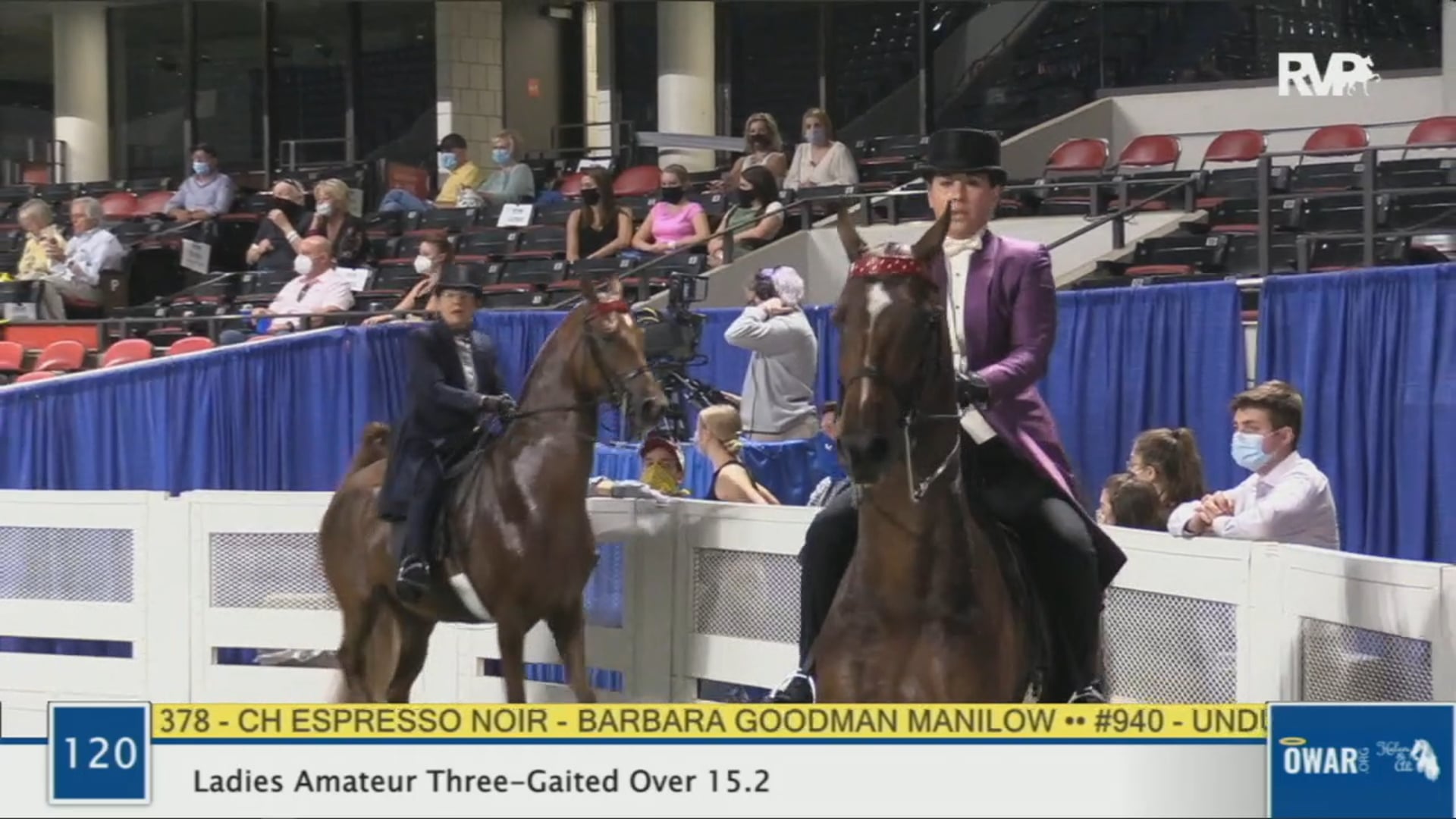 WCHS 2020 Class 120 - Ladies Amateur Three-Gaited Over 15.2
